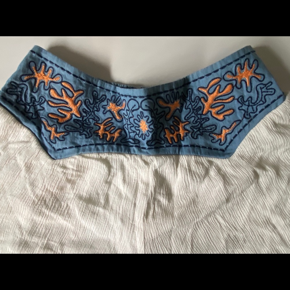 🖤 Like New! Jealous Tomato Shorts